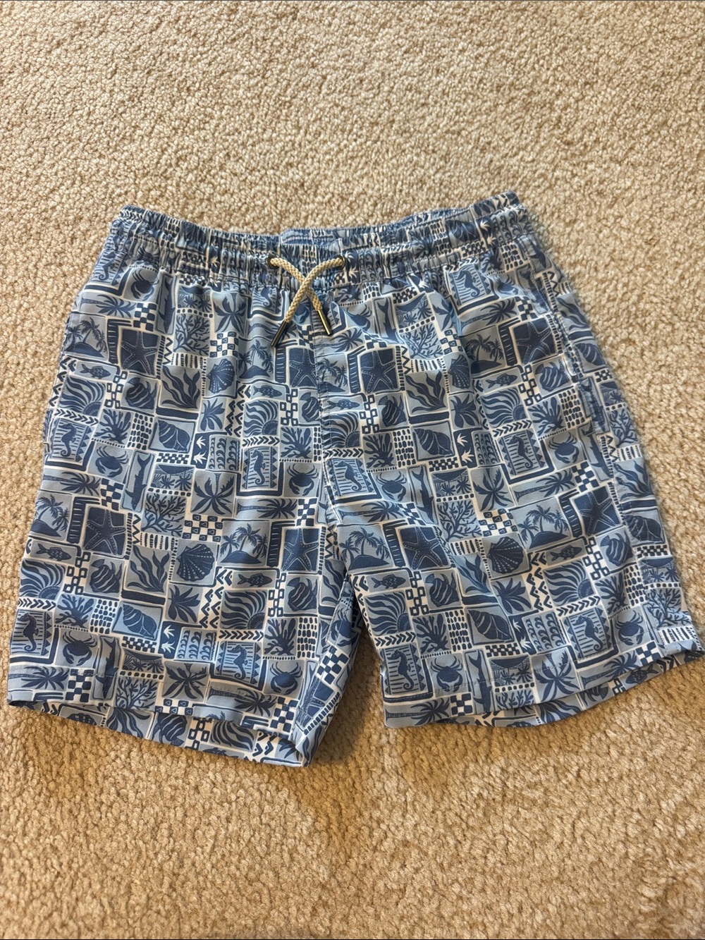 Fair Harbor Boys Bayberry Swim Trunks